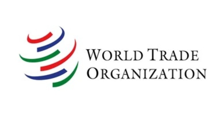 How World Trade Organization works ?