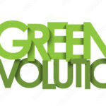 Green Revolution  & Economical changes in India