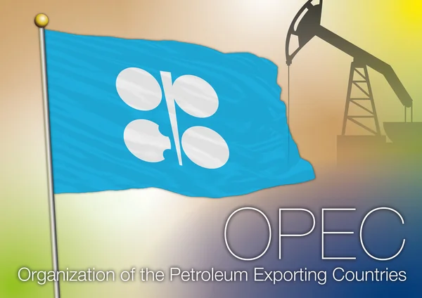 What is OPEC Organization ?